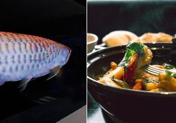 Setengah Mati Disayang-sayang, Arwana Senilai Rp 2 Juta Ini Malah Berakhir Dimasak Oseng oleh sang Ayah