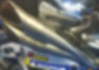 Knalpot Dua Pipa Jadi Satu  yang Seperti Honda CBR250RR Dipakai Motor Apa di MotoGP?