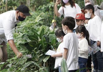 Tingkatkan Edukasi Masyarakat, Ragam Inovasi Ini Hadir di 4 Kebun Raya di Indonesia
