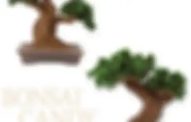 Kalian Bisa Bikin Pohon Bonsai yang Bisa Dimakan dengan DIY Kit Ini