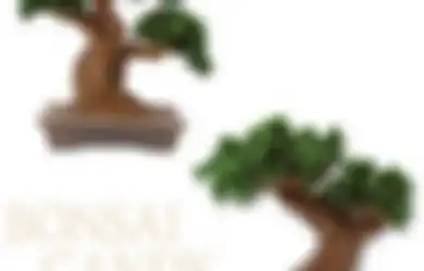 Kalian Bisa Bikin Pohon Bonsai yang Bisa Dimakan dengan DIY Kit Ini