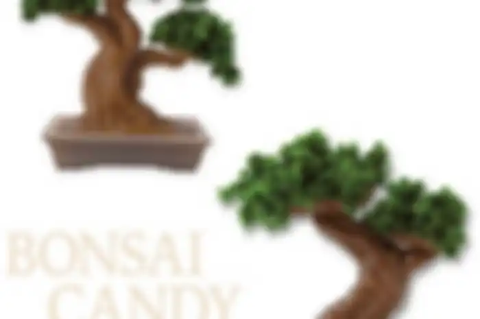 Okashi de Tsukuru Bonsai