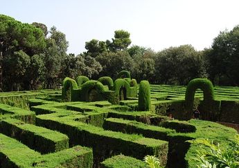 Arti Mimpi Tersesat Isyaratkan Perasaan Rindu yang Terpendam, Simak Tafsir Lengkapnya!