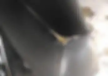 Jok Motor Rusak Dicakar Kucing, Cepetan Lakukan Dua Tips Ini Biar Gak Kejadian Lagi