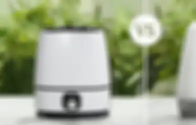 Awas Salah! Ini Perbedaan Air Purifier dan Air Humidifier. Bagus Mana?
