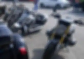Nih 8 Moge Bupati HST yang Terkena OTT Harganya Bikin Menganga Bos!