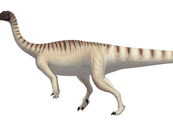 Bagaimana Dinosaurus yang Lahir Berjalan dengan 4 Kaki Tumbuh Berjalan dengan 2 Kaki?