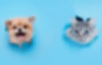 Tak Banyak yang Tahu, Sifat Seseorang Ternyata Bisa Dilihat Berdasarkan Hewan Peliharannya loh, Jadi Kamu Lebih Suka Anjing atau Kucing?