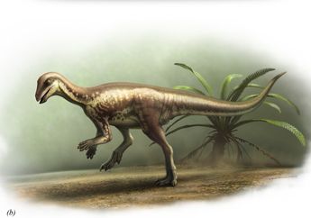 Terungkap Dinosaurus Baru 'Misterius' yang Keberadaannya Kerap Diabaikan karena Tak Terkenal