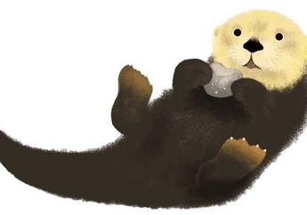 7 Arti Mimpi Berang-berang, Pertanda Awal Baru hingga Burnout?