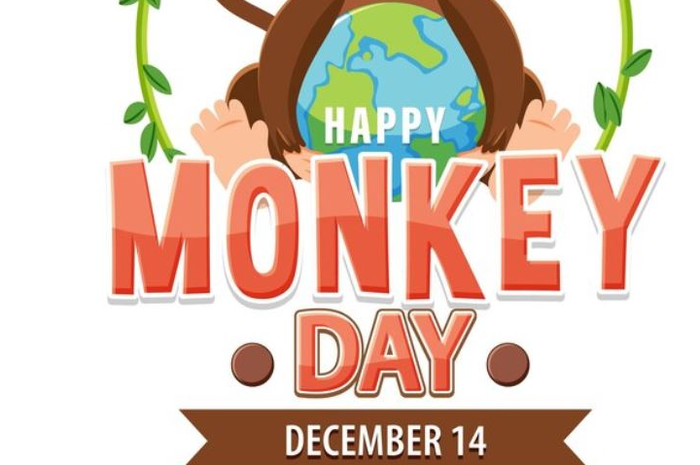 Hari Monyet Sedunia diperingati setiap tanggal 14 Desember