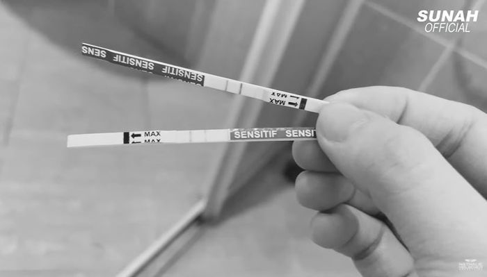 Hasil testpack kandungan Nathalie Holscher.