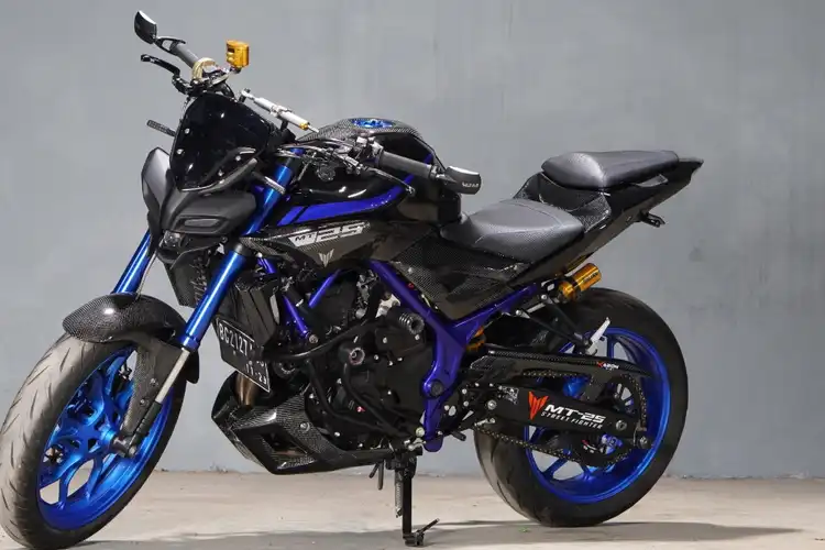 Yamaha MT-25 Dibuat Hedon, Pakai Lampu MT-15 Sampai Suspensi Ohlins