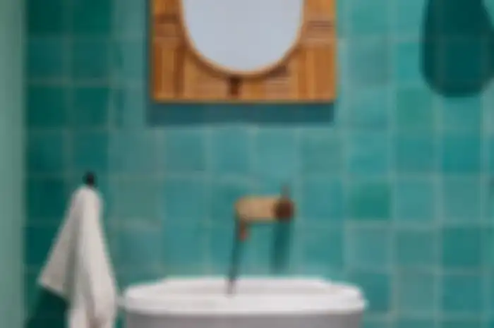 Perawatan utama untuk kamar mandi adalah membersihkan kotorannya.