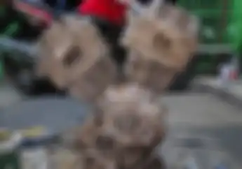 Trik Motor 2 Silinder Jadi Bersuara Seperti Moge Alias Motor Besar