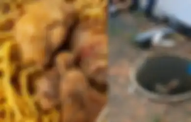 Sajikan Daging Manusia Sebagai Toping Mi, Polisi Syok Dapati Fakta Mengerikan Soal Warung Ini, Kondisi Dapur si Penjual yang Penuh Lumuran Darah Bikin Merinding