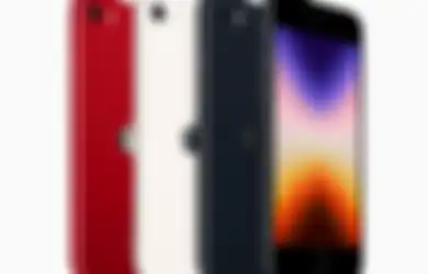 Apple Bakal Pakai Layar OLED BOE di iPhone SE 4 Agar Tetap Murah