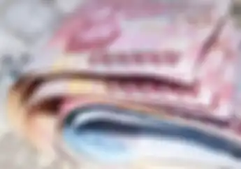 Spesial Bulan Desember Bantuan Uang Rp 1,2 Juta Diberikan Pemerintah, Usaha Makin Lancar
