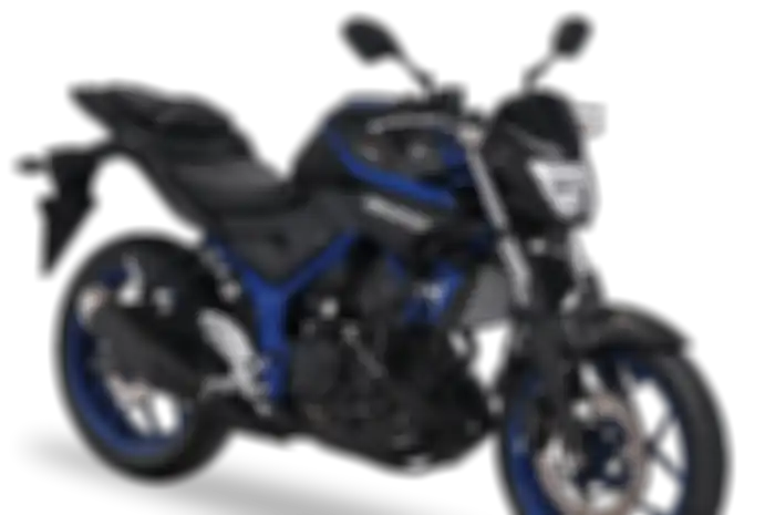 Yamaha MT 25