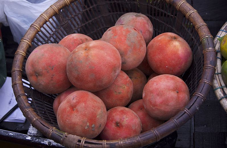 Bisbul, Buah Mentega yang Kian Langka tapi Kaya Manfaat