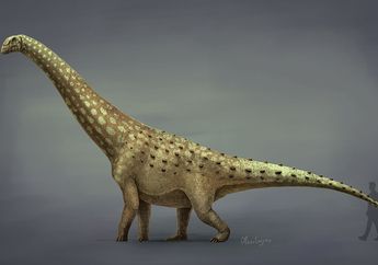 Apa yang Didapat Paleontolog Setelah Menggali Isi Perut Dinosaurus Sauropoda Ini?