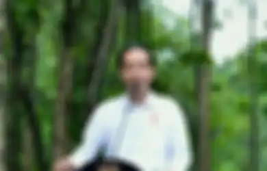 Ulang Tahun, Presiden Jokowi Dapat Kado Khusus Sate Ayam Dari Go-Jek,  Ada Apa?