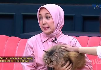 'Saya Dominan Orangnya', Rela 12 Tahun Menjanda Hanya Hidup dengan 5 Ekor Kucing, Henidar Amroe Ogah Nikah Lagi dengan Pria Lebih Tua