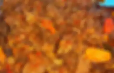 Viral di TikTok Resep Oseng Mercon Anti Gagal, Cara Beda Olah Daging Qurban yang Bisa Dicoba!