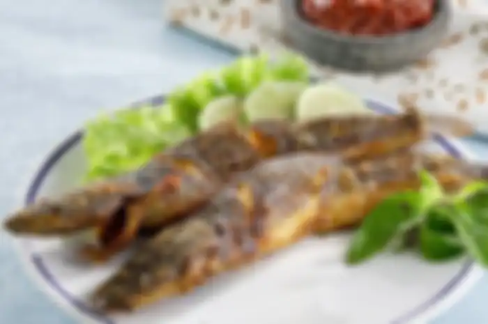 Beredar kabar terlalu sering makan ikan lele bisa buat kematian mendadak, berikut penjelasan lengkap ahli