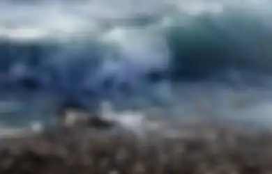 Bahaya Tsunami Mengintai Laut Selatan Pulau Jawa, BMKG Ungkap Skema 20-20-20 Tentang Risiko Tsunami yang Diprediksi Akan Kembali Terjang Indonesia