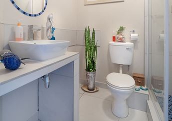 Ilmuwan Menyarankan untuk Lakukan Kebiasaan Kecil Ini saat Menggunakan Toilet, Gara-garanya Sebuah Penelitian Ungkap Toilet Berpotensi Sebarkan Virus Corona