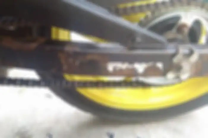Ilustrasi karat di swing arm motor