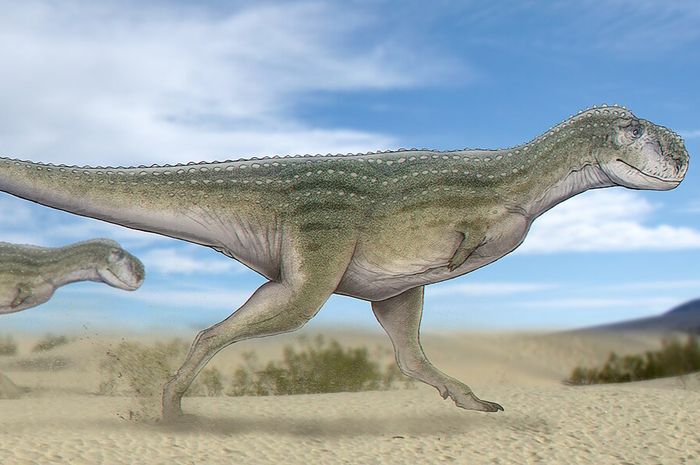 T.アフリカのレックスは、大量絶滅前にまだ生きている最後の恐竜の1つです