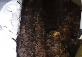 Ada Suara Aneh dan Misterius Sampai Buat Tak Bisa Tidur, Saat Dibongkar Pasutri Ini Terkejut Mendapati Isinya, Ternyata Selama Bertahun-tahun...