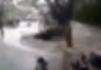 Mobil Fortuner Nikung 3 Motor Tumbang Terendam Air, Banjir di Surabaya Bikin Warga Panik