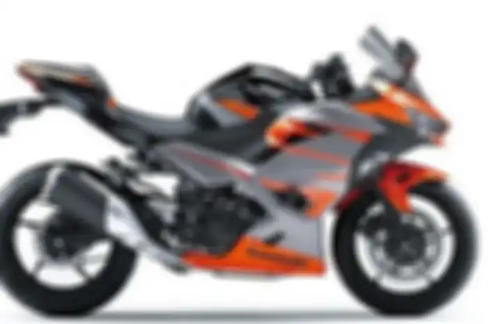Kawasaki New Ninja 250