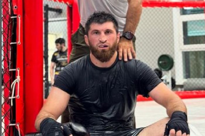 petarung UFC, Magomed Ankalev