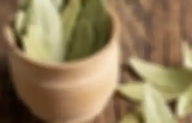 Tak Hanya Bumbu Penyedap dan Obat Herbal, Air Rebusan Daun Salam Sulap Wajah Jadi Konclong