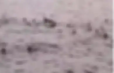 Viral, Video Remaja Lakukan Tawuran di Laut Sambil Bawa Senjata, Teriak-teriak Sambil Bawa Parang