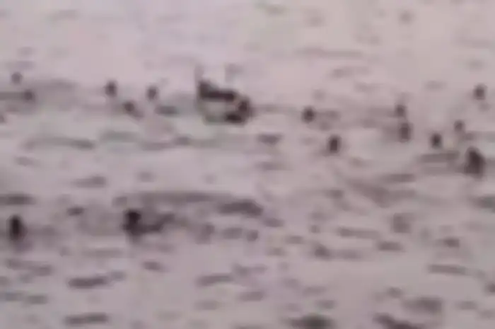 Sekelompok remaja di Cilincing, Jakarta Utara melakukan tawuran di laut.