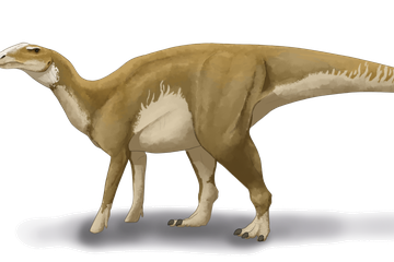 Dinosaurus Ini Memiliki Penyakit yang Sama dengan Manusia