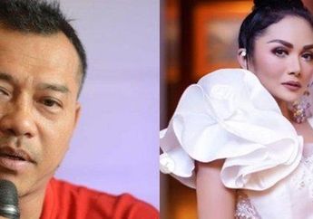 Krisdayanti sampai Dipanggil Fraksi PDIP Gegara Bocorkan Gaji DPR RI, Anang Hermansyah Tak Segan Bandingkan Honor Anggota Parlemen dan Artis, Mana Paling Tajir?