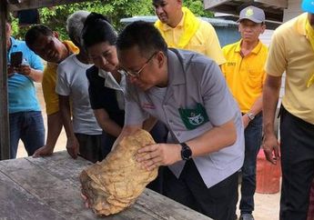 Arti Mimpi Memegang Kotoran Diyakini Bakal Ketiban Rezeki Nomplok, Benarkah Hal Menjijikan Itu Jadi Pertanda Keberuntungan?