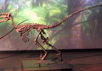 Bagaimana Dinosaurus Deinonychus Berburu dengan Cakar yang Mengerikan?