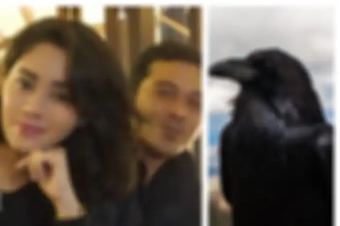 Ilustrasi Saphira Indah dan sepupunya meninggal dunia usai kedatangan burung misterius di rumahnya