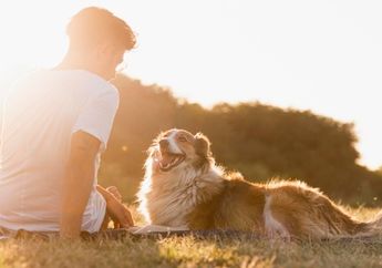 5 Manfaat Menakjubkan Punya Hewan Peliharaan untuk Kesehatan Manusia, Salah Satunya Menurunkan Tekanan Darah, Kok Bisa?