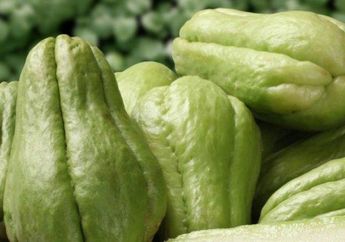 Cegah Sembelit hingga Bantu Perkembangan Janin, Inilah 7 Khasiat Labu Siam