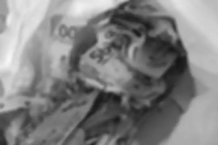Kisah uang tabungan jutaan rupiah rusak dimakan rayap viral di media sosial.
