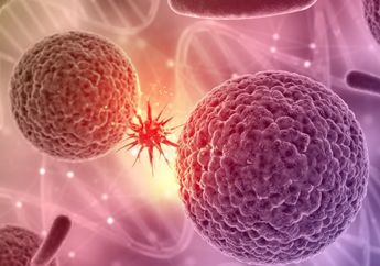 Picu Diabetes hingga Kanker Bersarang dalam Tubuh, Ibu-ibu Wajib Waspada dan Ubah Kebiasaan Salah di Dapur Ini Sekarang Juga