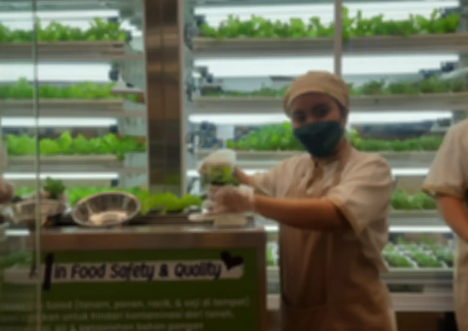 GREENS  Perkenalkan Hyperlocal Metafarming yang Hadir di Plaza Indonesia